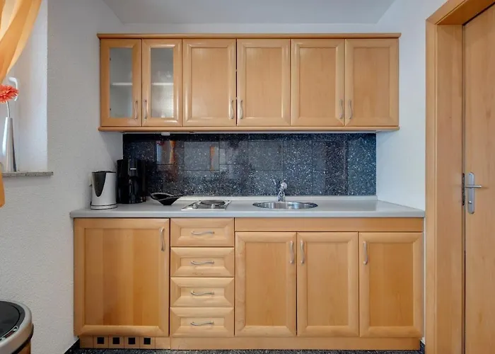 Fijala 茨里克韦尼察